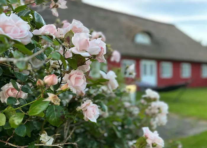 Semesterbostad Kielo - 10km From The Sea By Interhome